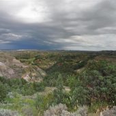  Theodore Roosevelt National Park